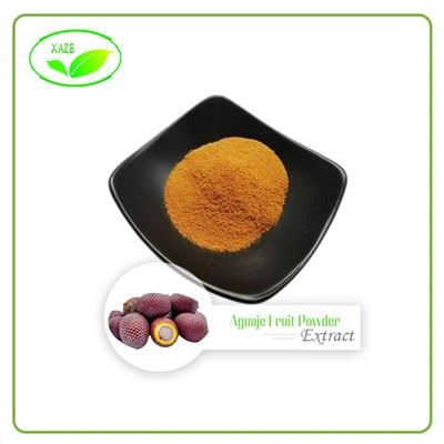 Aguaje Fruit Powder